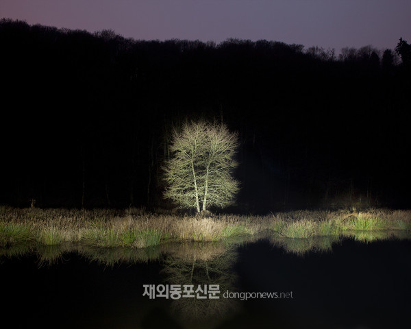 KIM Shinwook©Filly, 80x100cm, Inkjet print, 2012 (사진 주벨기에한국문화원)