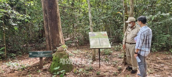 한-캄 자연휴양림 대상지 장미목 조사 (사진 산림청)