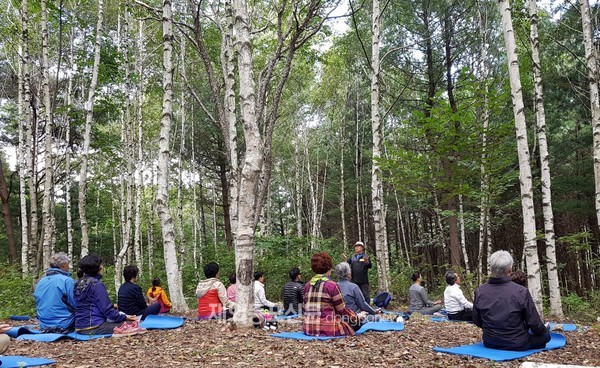 국립대관령자연휴양림 숲치유프로그램 (사진 산림청)