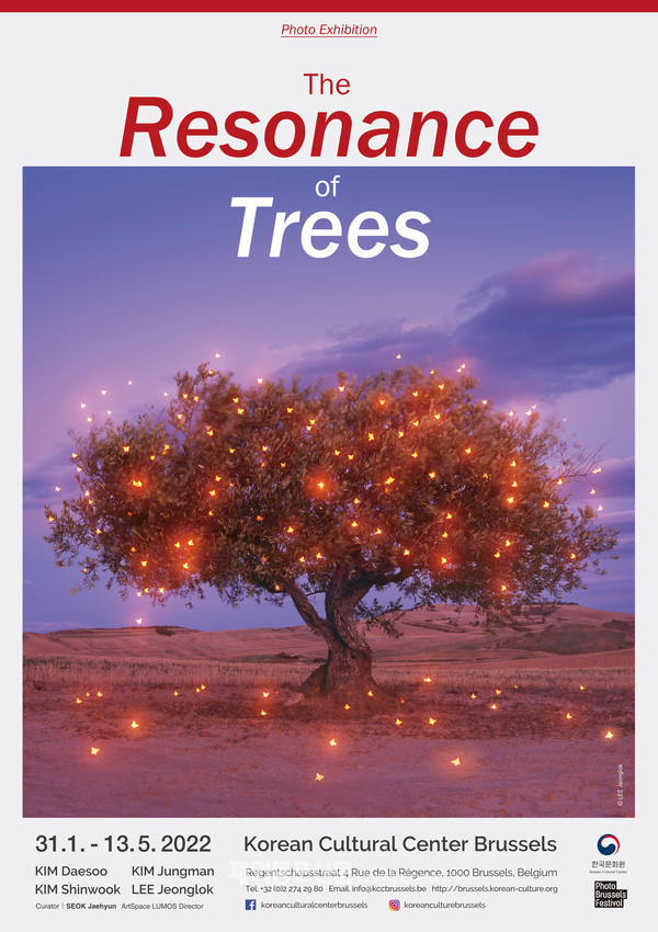 주벨기에한국문화원 주최 사진전 ‘나무의 공명(Resonance of Trees’ 포스터 (사진 주벨기에한국문화원)